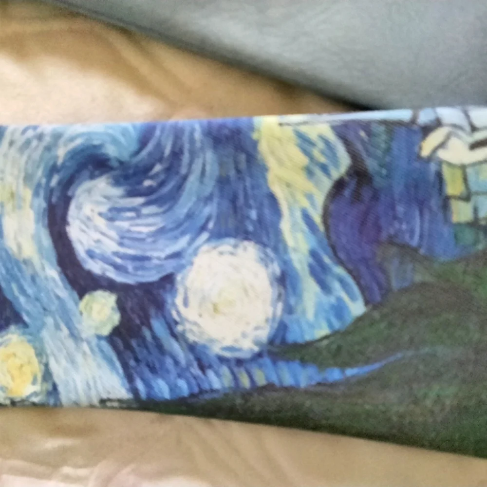 Set of Sunglass cases: 1 a famous painting;  the other Wedgewood blue faux suede
